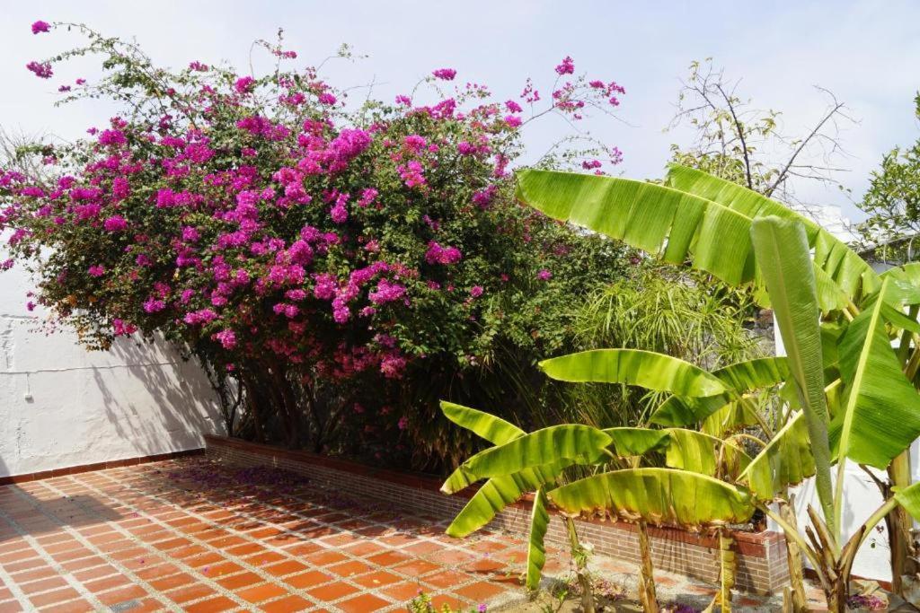 בארנקווילה Hotel Mar Di Plata מראה חיצוני תמונה