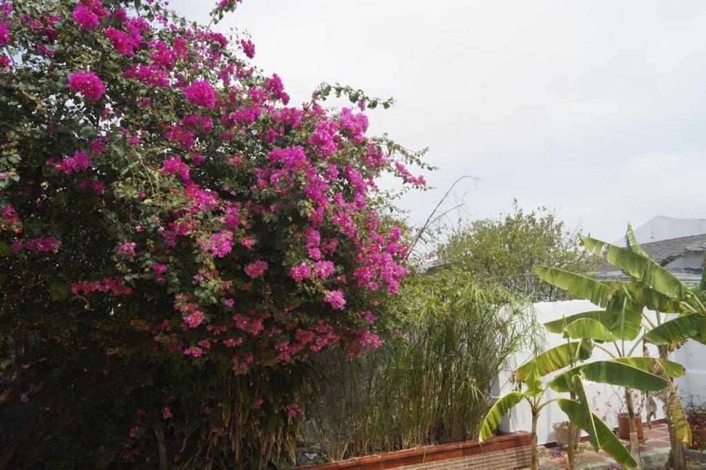 בארנקווילה Hotel Mar Di Plata מראה חיצוני תמונה