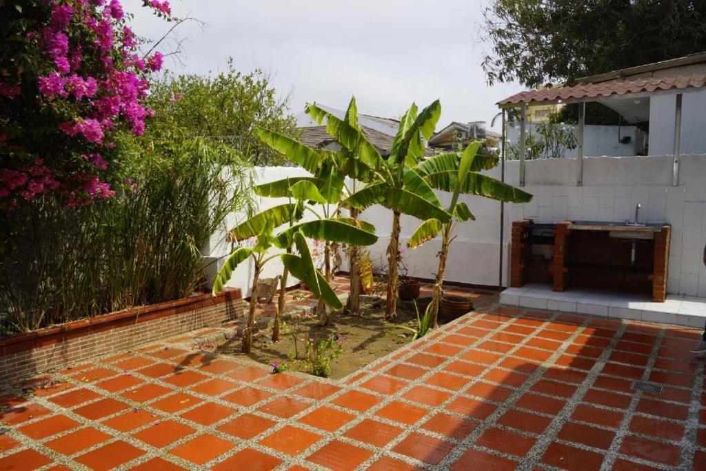 בארנקווילה Hotel Mar Di Plata מראה חיצוני תמונה